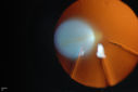 51217_010.JPG