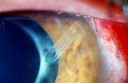 51344_006.JPG