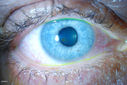 51434_001.JPG