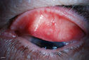 51437_004.JPG