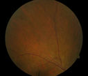 ARCIPRESTE_SAMUEL_5B0045D.jpg