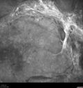 pdr-TRD2_kesel_071719__28.jpg
