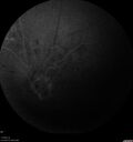 pdr-TRD2_kesel_071719__37.jpg