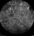 pdr-vh2_brric_020519_17.jpg