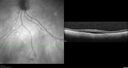 srfluid_pason_042318_08.jpg